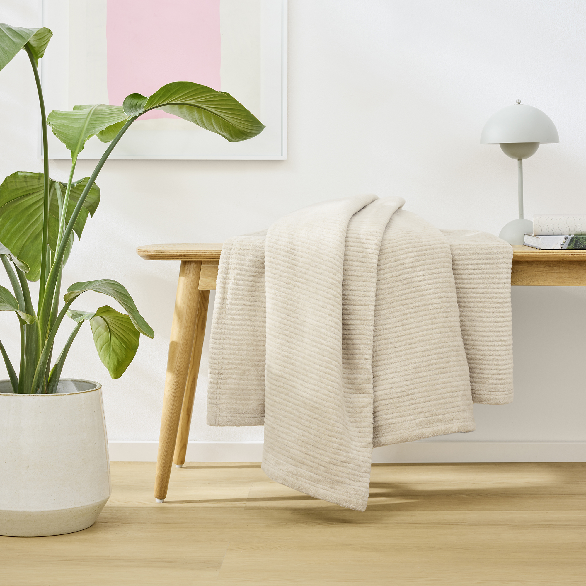 Plant, Potted Plant, Indoors, Interior Design