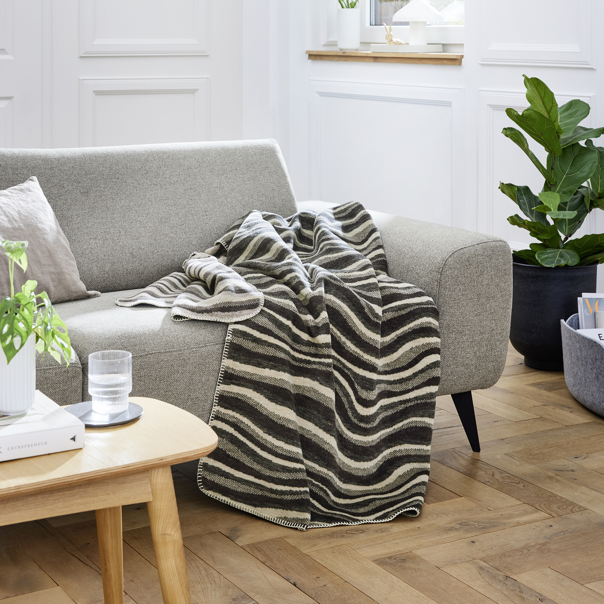 Furniture, Blanket, Couch, Plant, Desk