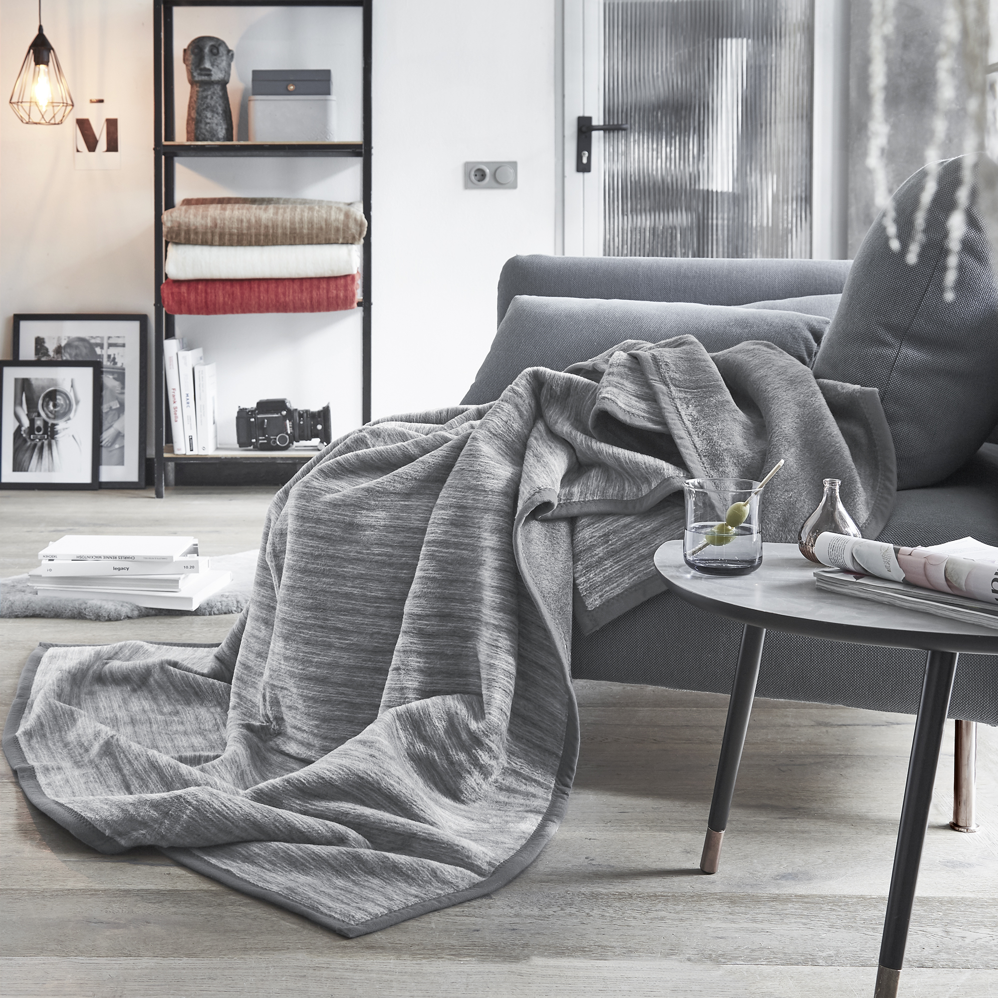Blanket, Lamp, Cup, Camera, Dog