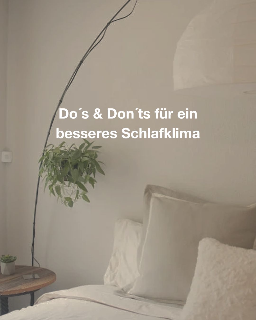 Lampe, Kissen, Dekoration für Zuhause
