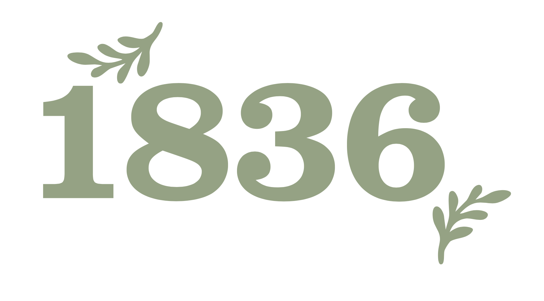 Number, Symbol, Text