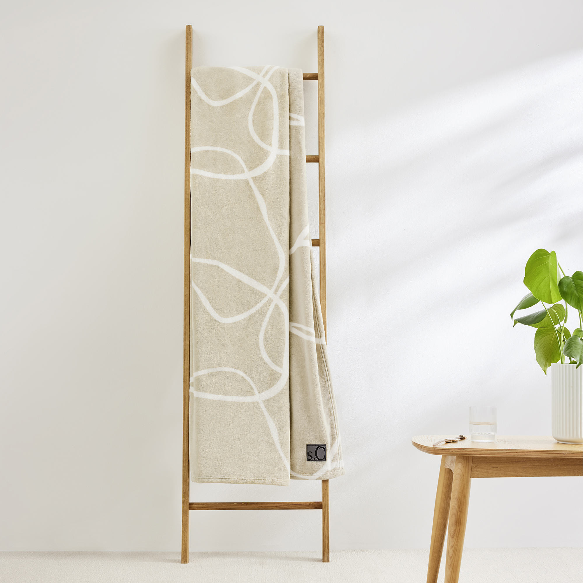 Pflanze, Tasse, Pflanze