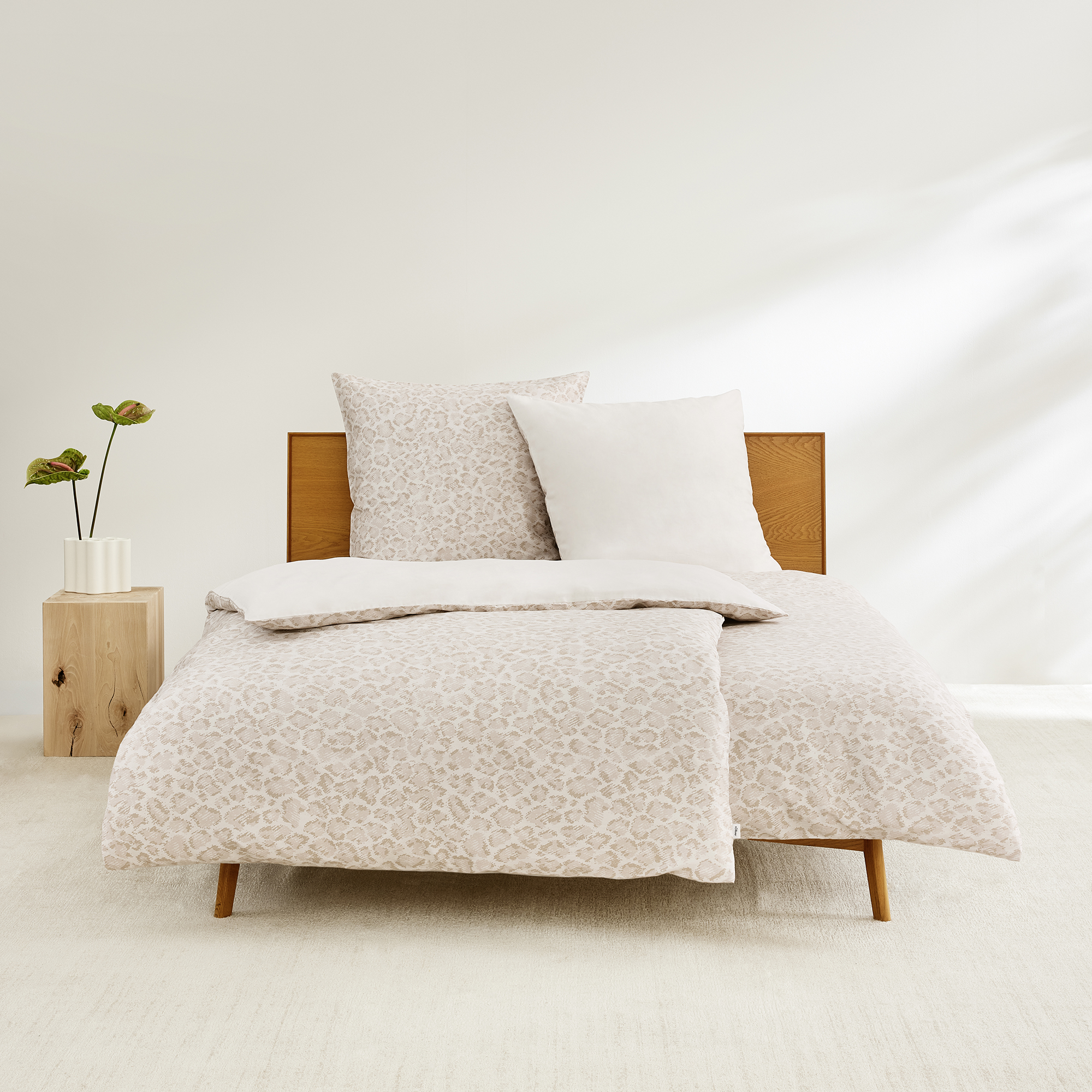 Kissen, Dekoration für Zuhause, Mobiliar, Pflanze, Bett