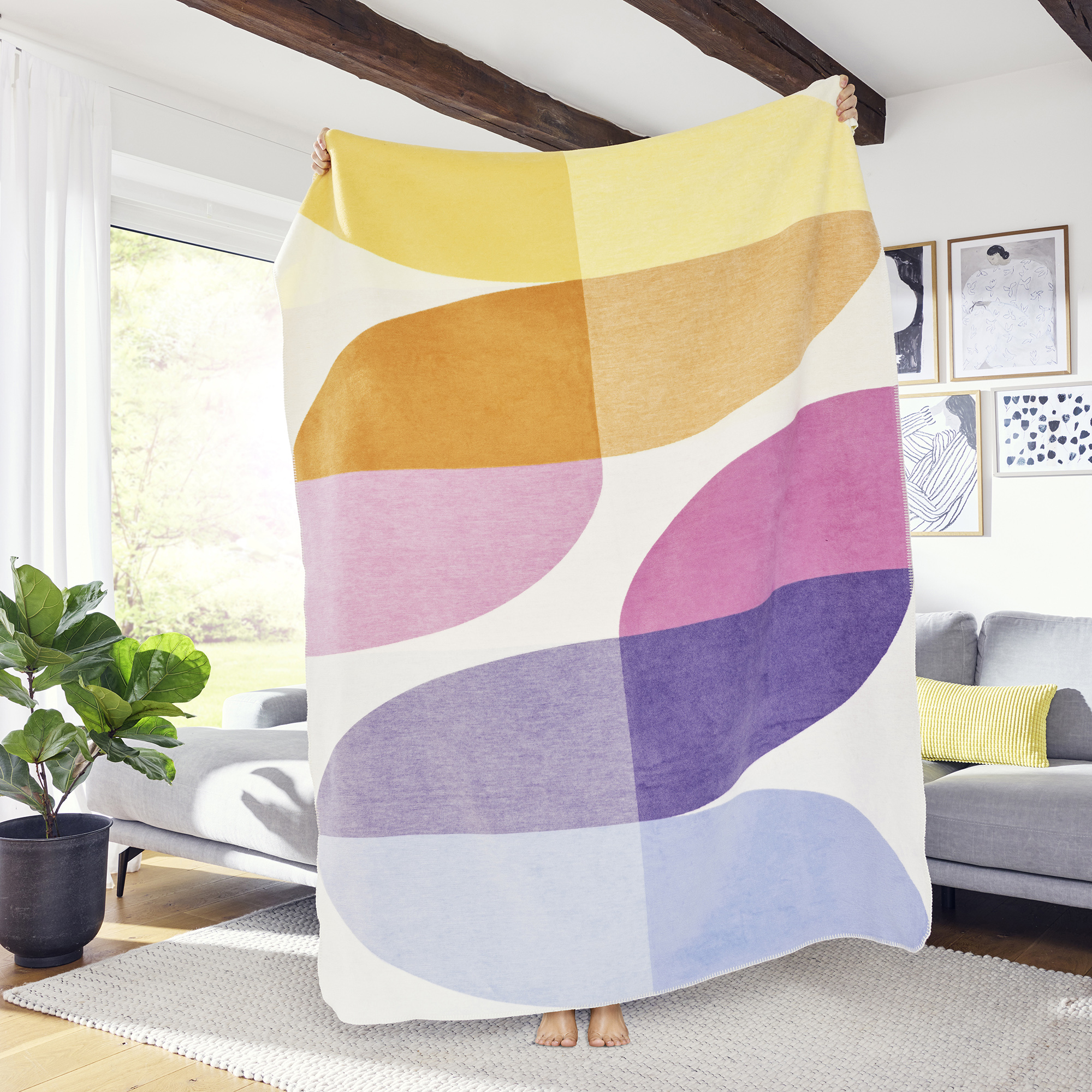 Decke, Pflanze, Person