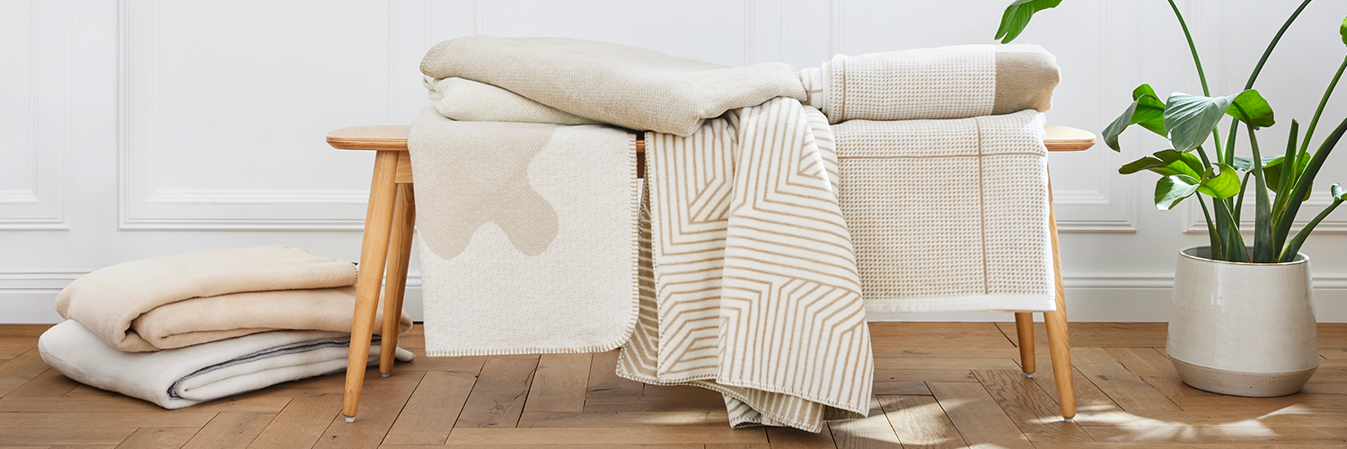 Pflanze, Dekoration für Zuhause