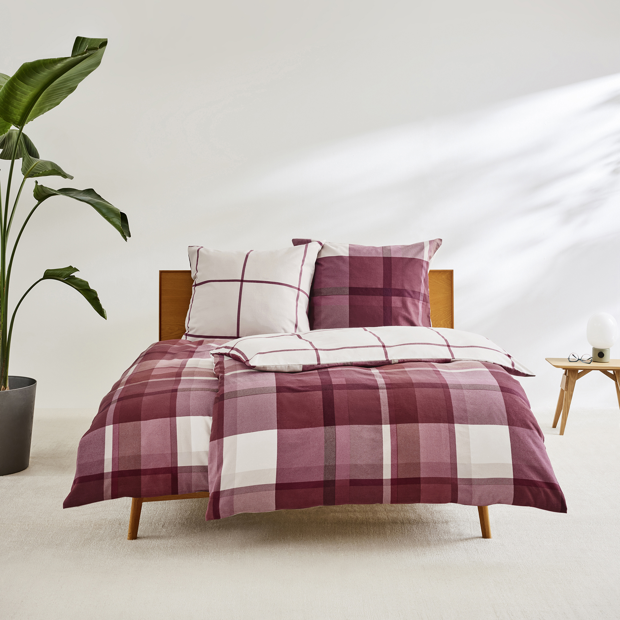 Furniture, Bed, Plant, Bed Sheet, Furniture, Bed, Plant, Bed Sheet