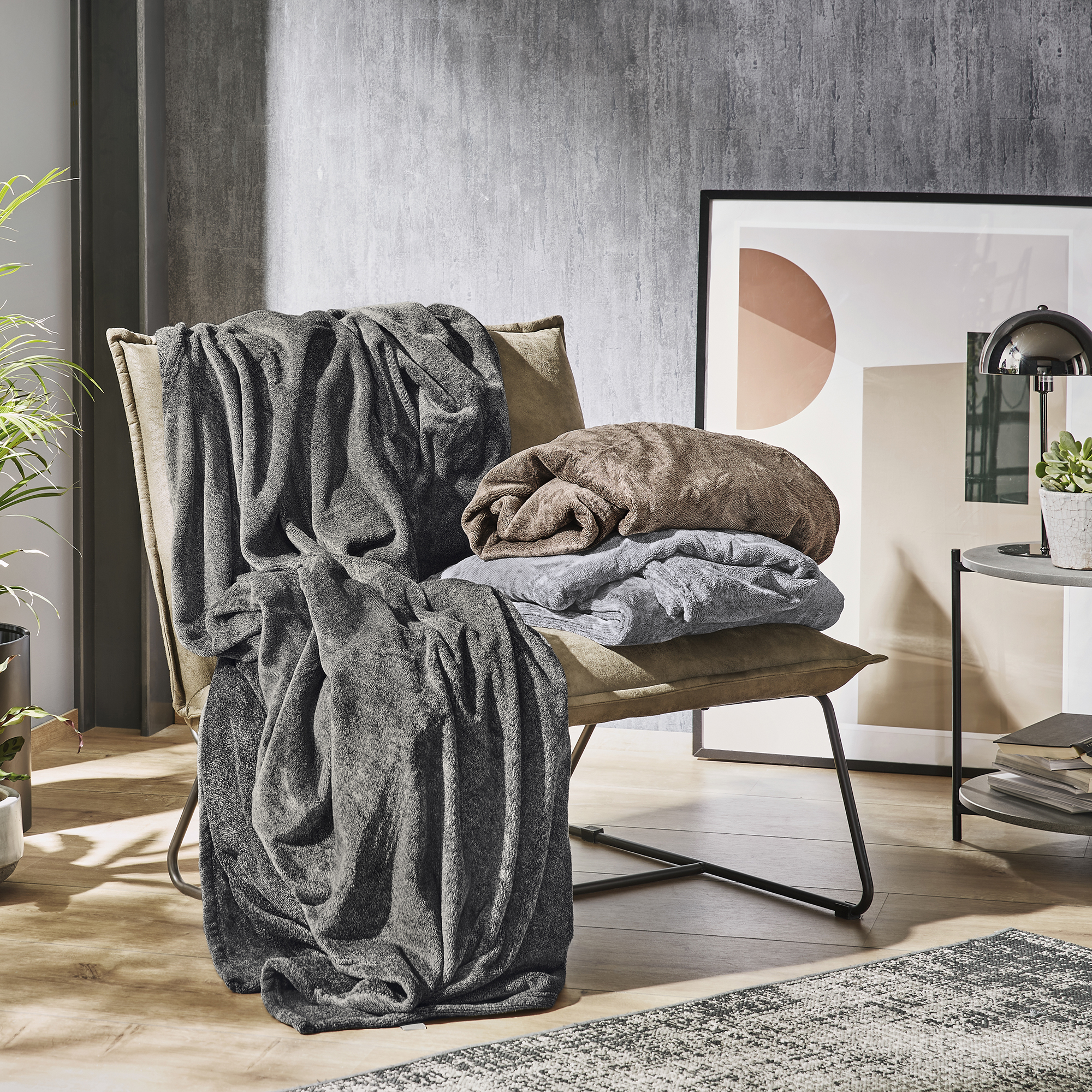 Furniture, Plant, Chair, Blanket, Lamp