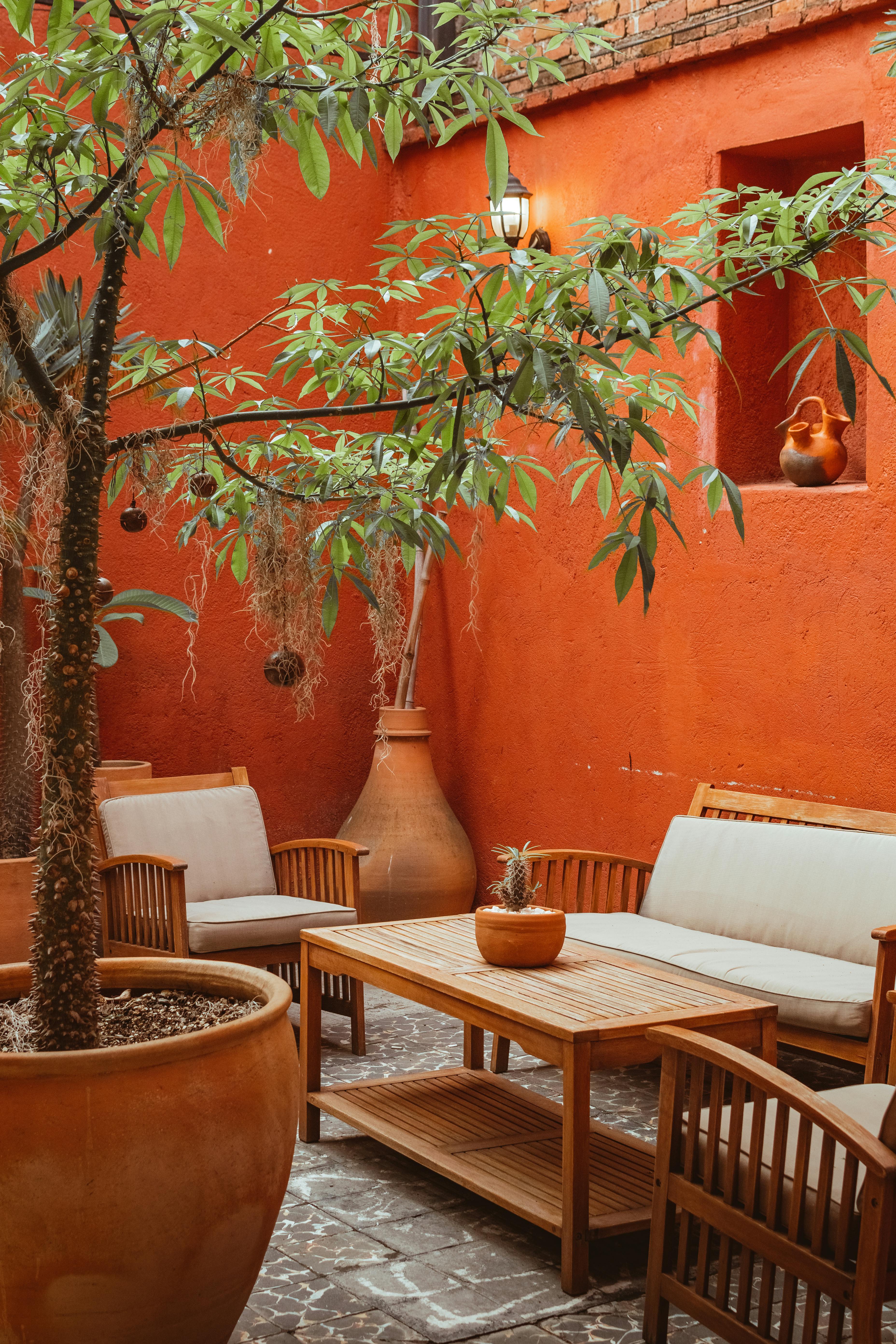 Topfpflanze, Wohnzimmer, Fußboden, Innenarchitektur, Tabelle