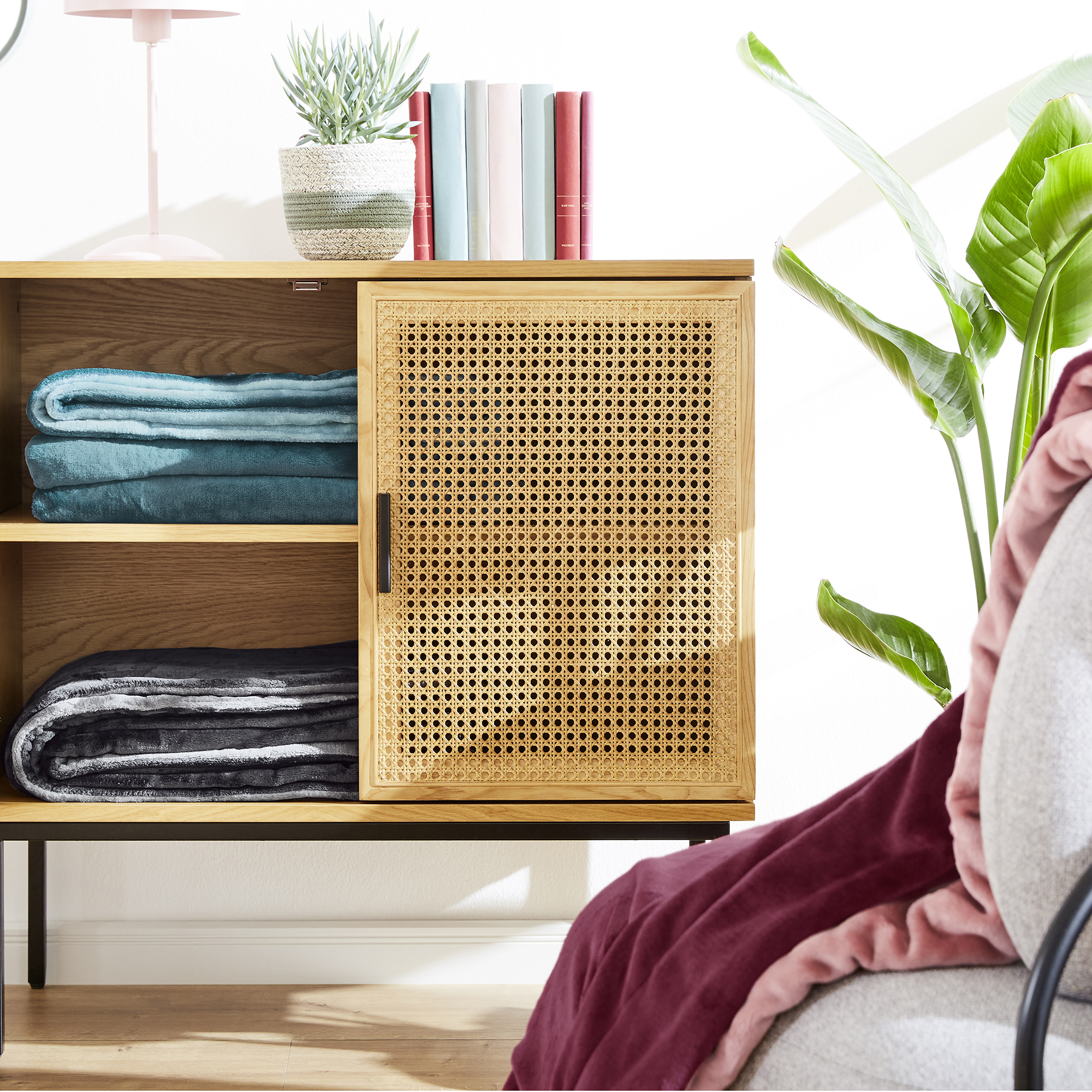 Innenarchitektur, Regal, Mobiliar, Pflanze, Pflanze im Topf