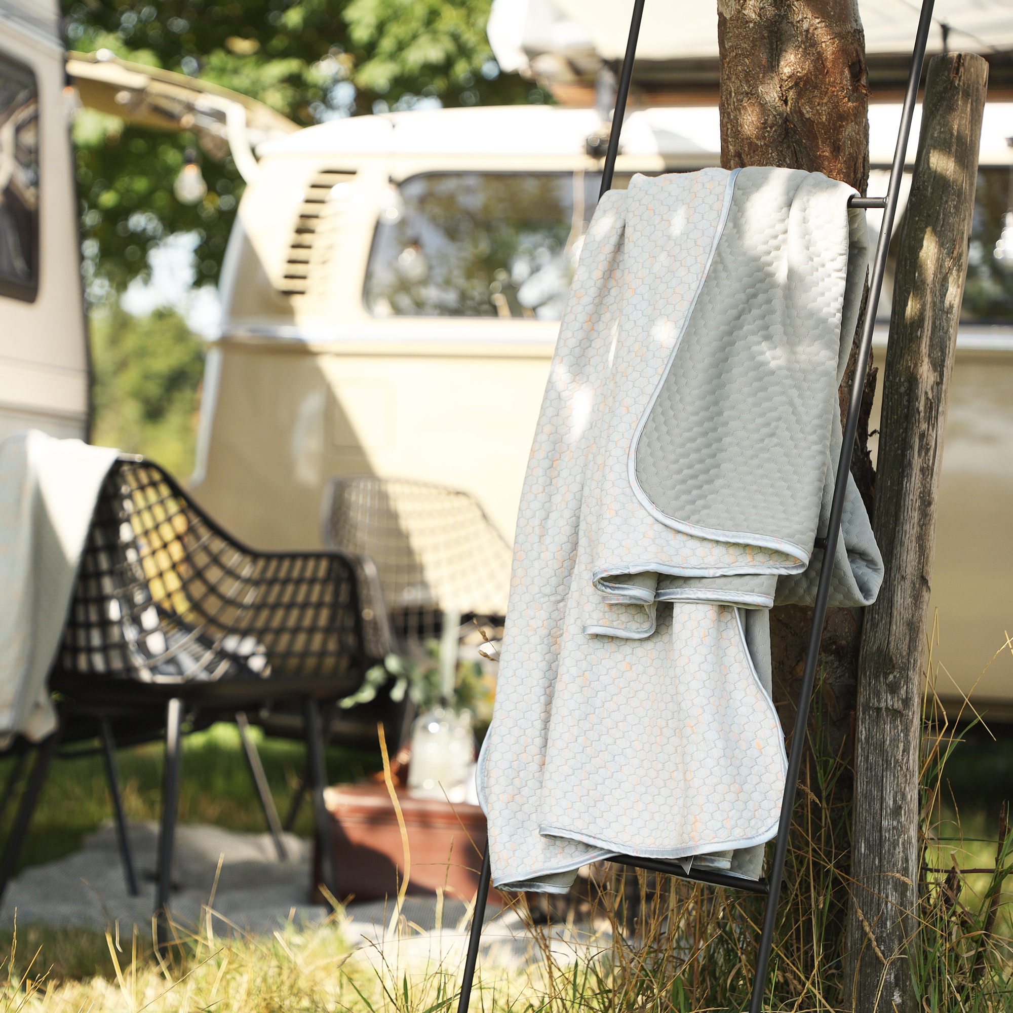 Stuhl, Mobiliar, Gras, Pflanze