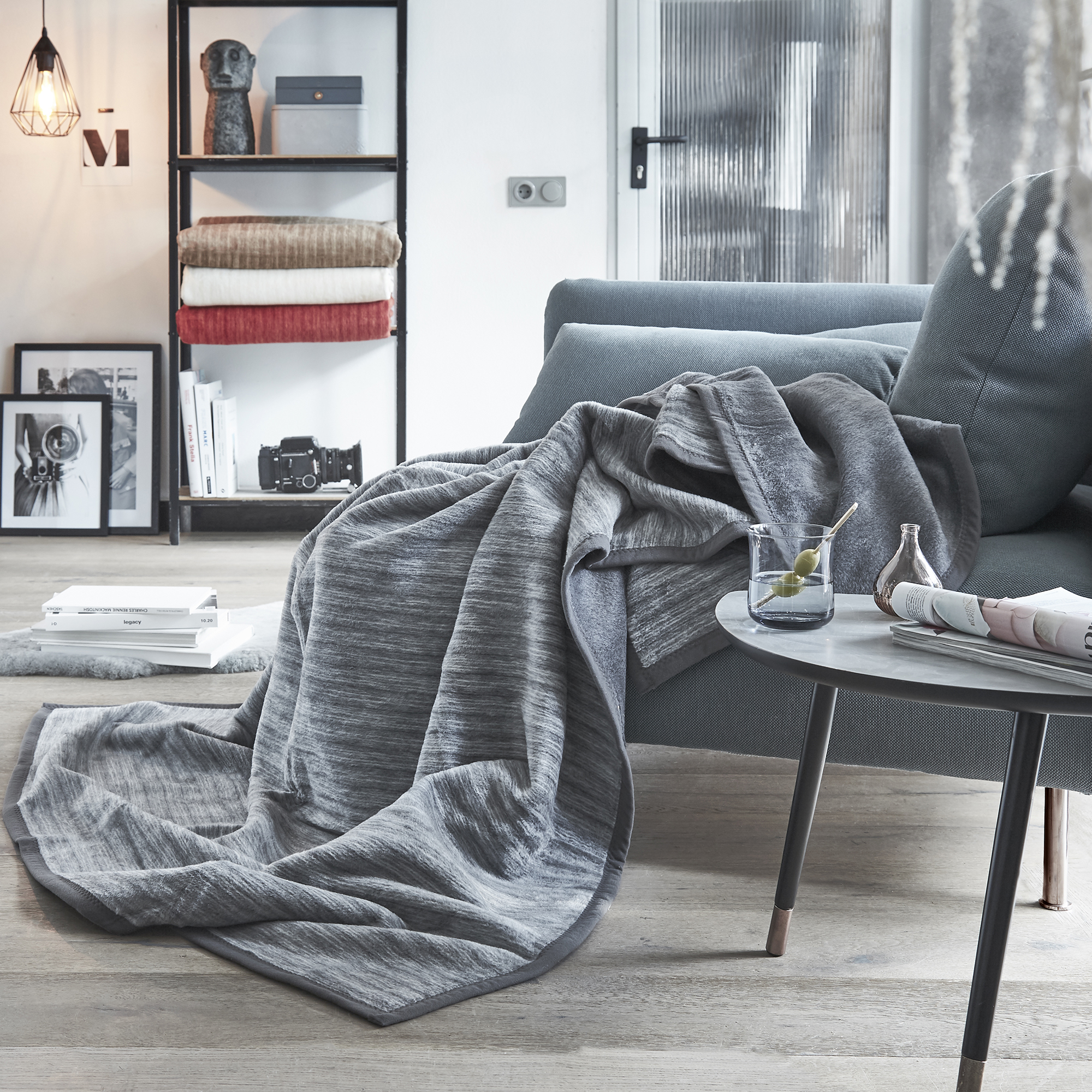 Blanket, Lamp, Cup, Camera, Dog