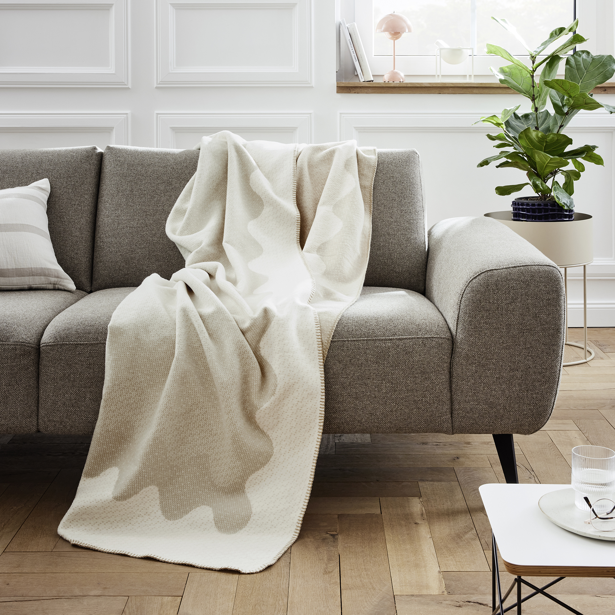 Furniture, Plant, Couch, Blanket, Home Decor