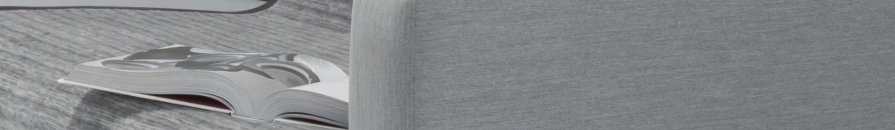 Buch, Veröffentlichung