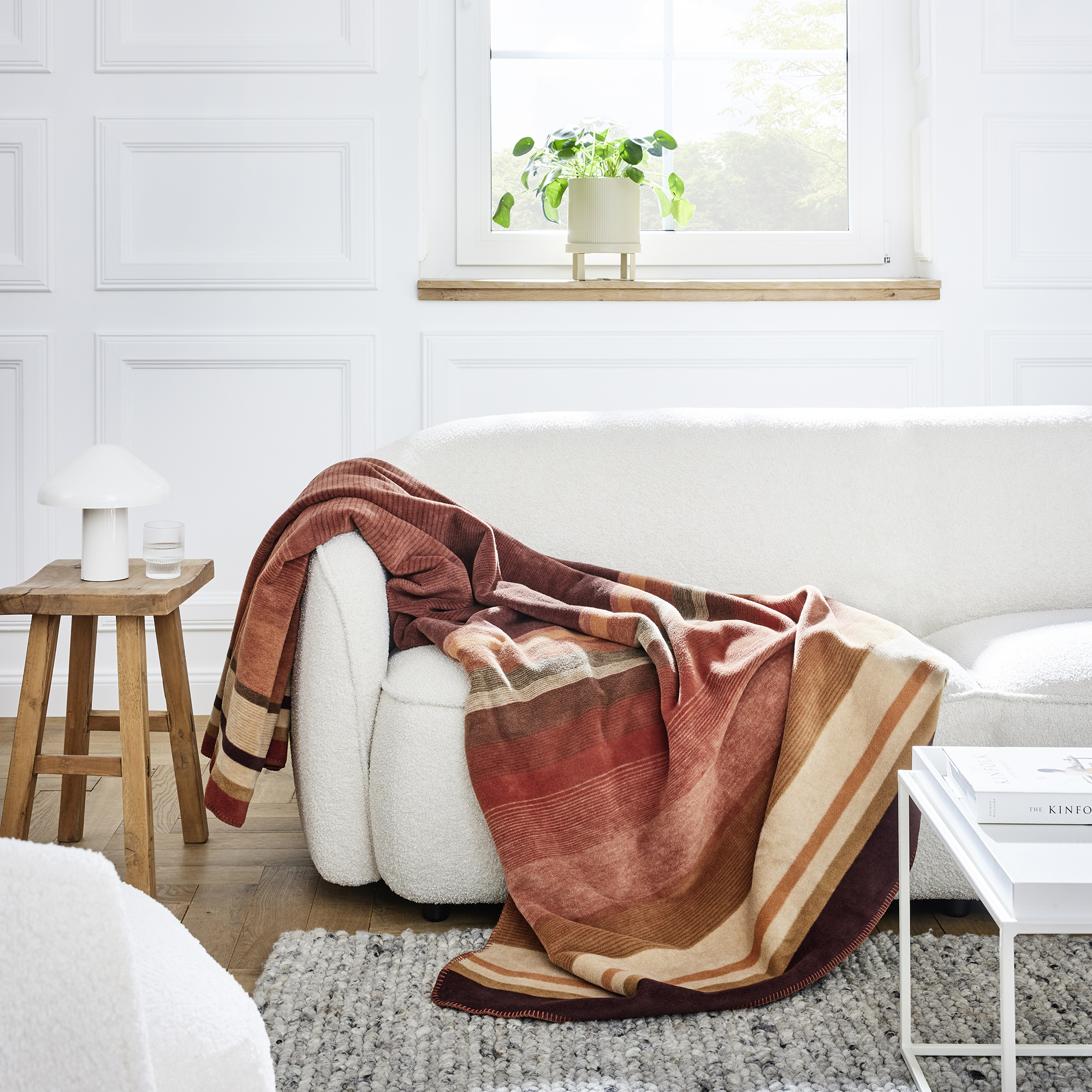 Blanket, Furniture, Plant