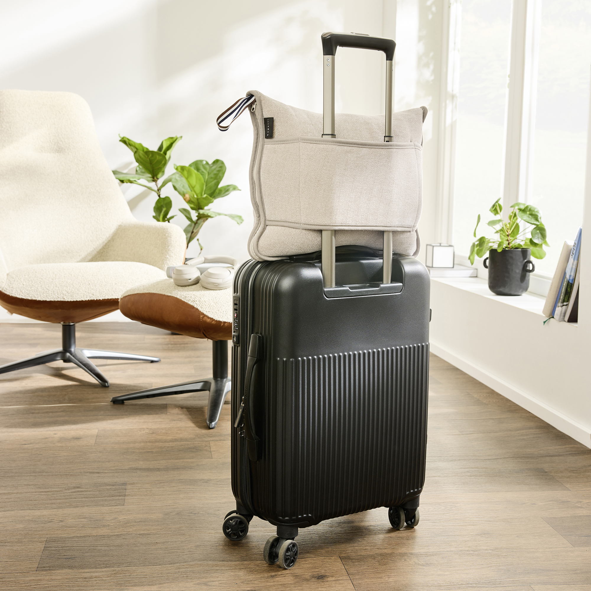 Gepäck, Stuhl, Mobiliar, Koffer, Pflanze