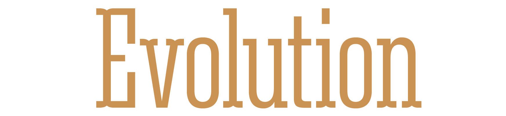 Logo, Evolution, Markenname nicht sichtbar, braun, Text